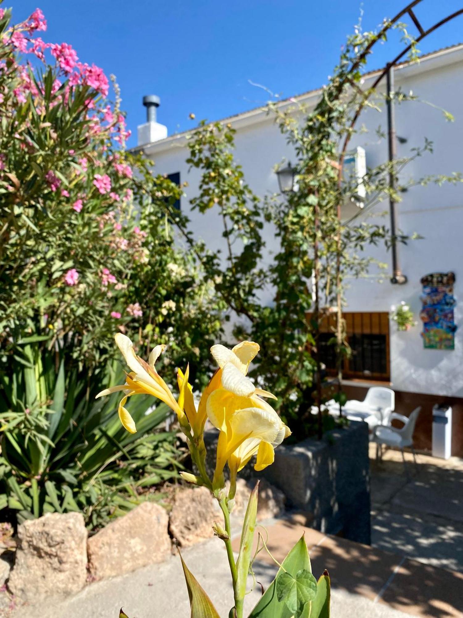 Alojamiento Rural Mar De Olivos Castril Eksteriør billede
